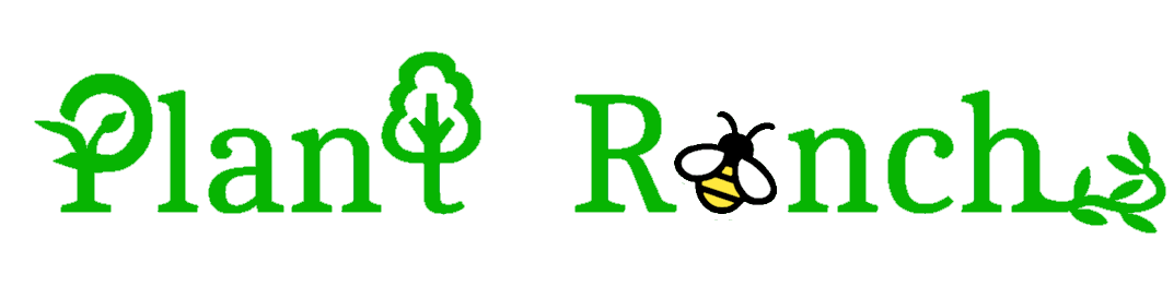 Plant Ranch